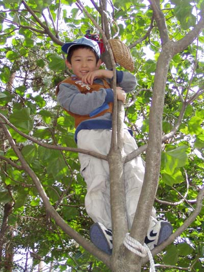 どんなお話? [1/4] p3210975