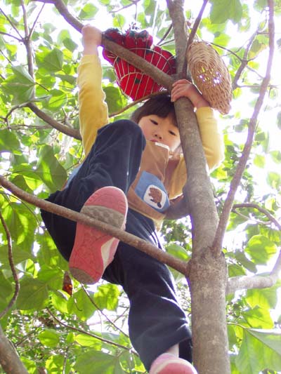 どんなお話? [2/4] p3210999