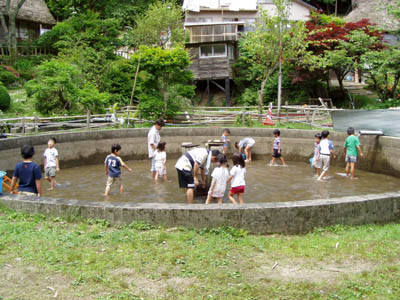 あっ、逃げちゃった [3/4] p6131895