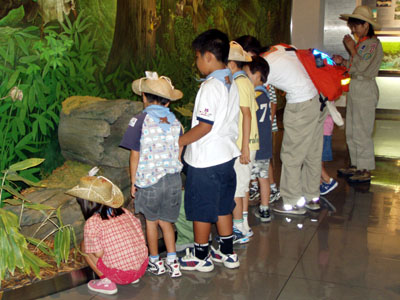 ビーバーの夏 [2/11] p8072818