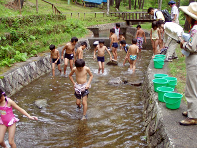 ビーバーの夏 [3/11] p8072821