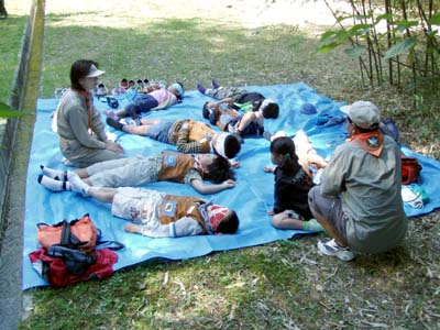 音、いくつ? [3/4] pa193225