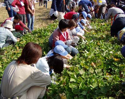 地べたであそぼう [1/4] pb010011