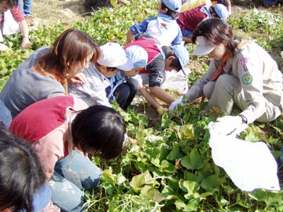 地べたであそぼう [2/4] pb010013