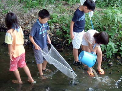 なにがいるかな? [1/3] dscf0950