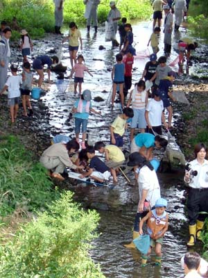 なにがいるかな? [2/3] dscf0958