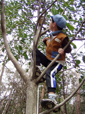 絵本のウォークラリー [4/4] p3060043