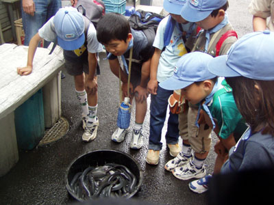 東谷山を探検だ! [4/5] p5220096