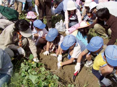 地べたであそぶ [2/4] pa234079