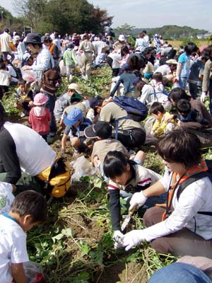 地べたであそぶ [4/4] pa234087