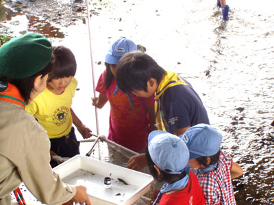 なにがいるかな? [2/2] p8170027