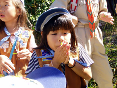 みんなのスカウトハウス [2/5] p9250103