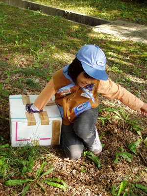 森の中、なんの音? [1/5] pa300023