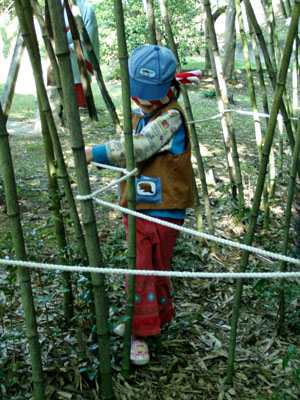 森の中、なんの音? [2/5] pa300027