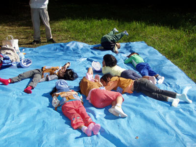 森の中、なんの音? [4/5] pa300080