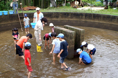 あっ、逃げちゃった [3/4] pict0825