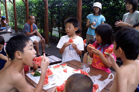 ビーバーの夏 [6/6] pict1231