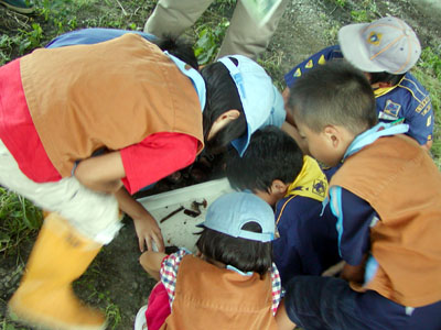 なにがいるかな? [4/4] p8022743