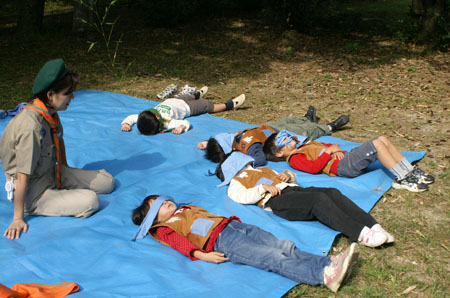 森の中、音いくつ? (ネイチャープログラム) [2/4] pict2525