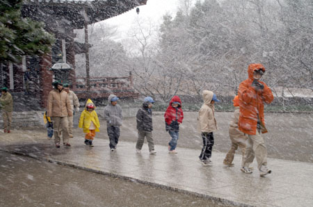 ちからをこめて [3/5] pict3428