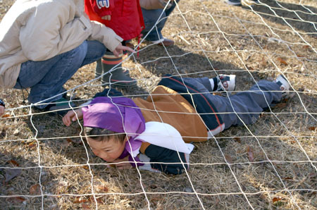 ビーバー忍玉参上 [2/5] pict3558