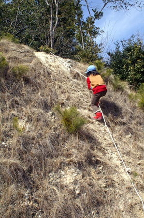 オープンスカウト [5/6] pict8043