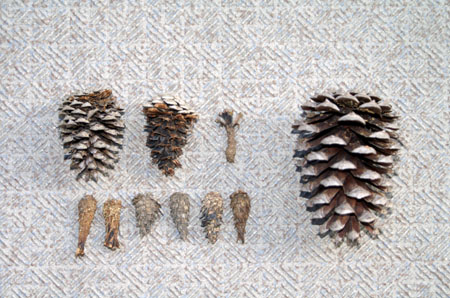 定光寺を歩こう [4/5] pict8104