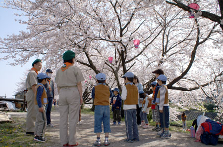 さくらのしたで [1/4] pict8247