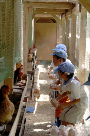 ビーバーのなつ [1/3] pict9091