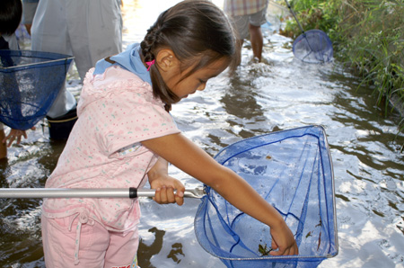 水生生物調査 [1/4] pict9403