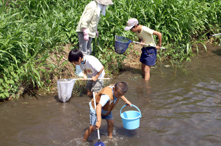 水生生物調査 [2/4] pict9414