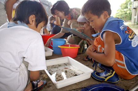 水生生物調査 [4/4] pict9425