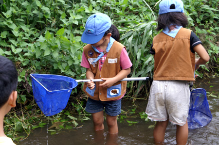 おさかないるかな? ザリガニいるかな? [1/4] pict2599