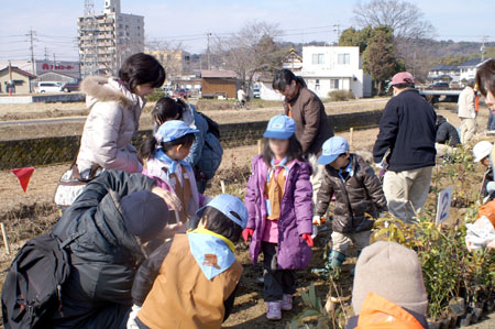 みどりいっぱいプロジェクト [1/3] pict8031