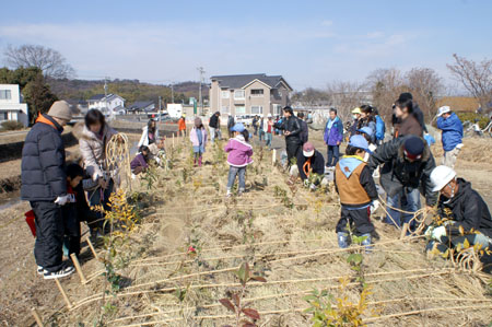 みどりいっぱいプロジェクト [3/3] pict8062