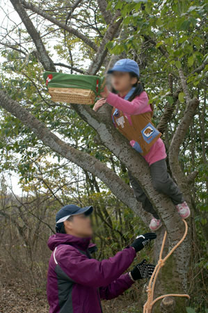 オープンスカウト [3/3] pict8184