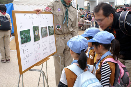 あいちビーバー・カブラリー [2/3] pict8260