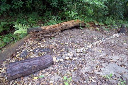 みどりのカーテンをつくろう [1/2] pict8762