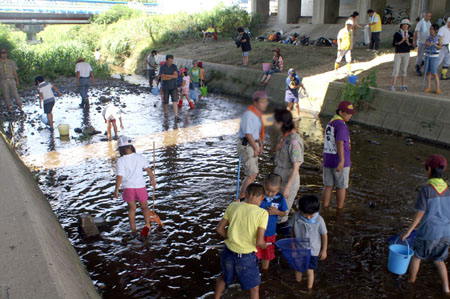 おさかないるかな? ザリガニいるかな? [2/3] pict9431