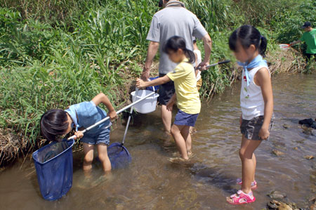 おさかないるかな? ザリガニいるかな? [3/3] pict9440