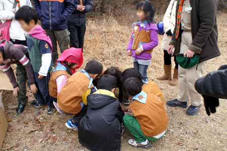 ゆけゆけ ビーバーにんたま! [4/4] pict0343