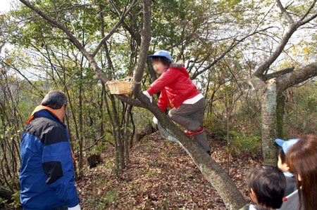 オープンスカウト [1/3] pict0535