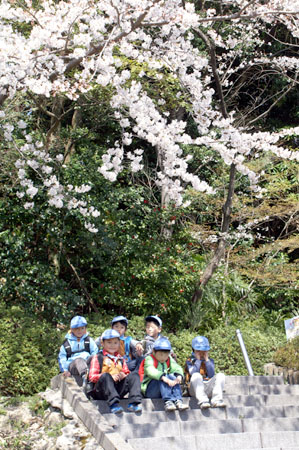 さくらのしたで [1/4] pict0703