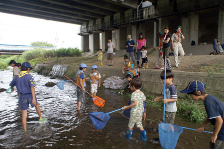 すいせいせいぶつちょうさ [3/3] pict3801