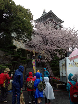 みどりのぼきん [2/5] 0405_image2