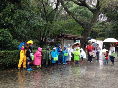 みどりのぼきん [3/5] 0405_image3