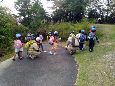 スパイビーバー [1/3] 1413109628438