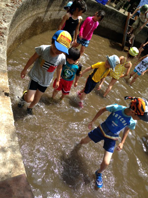 さかなつかみ [4/8] img_3621