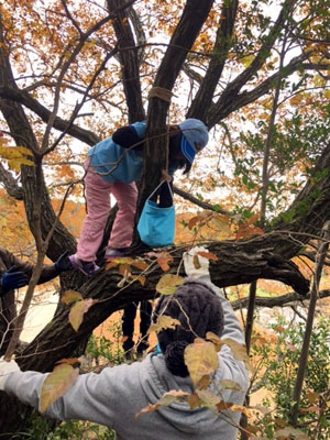 オープンスカウト [5/6] img_4989