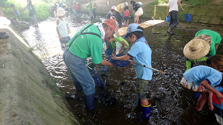 すいせいせいぶつちょうさ [2/3] dsc_0020
